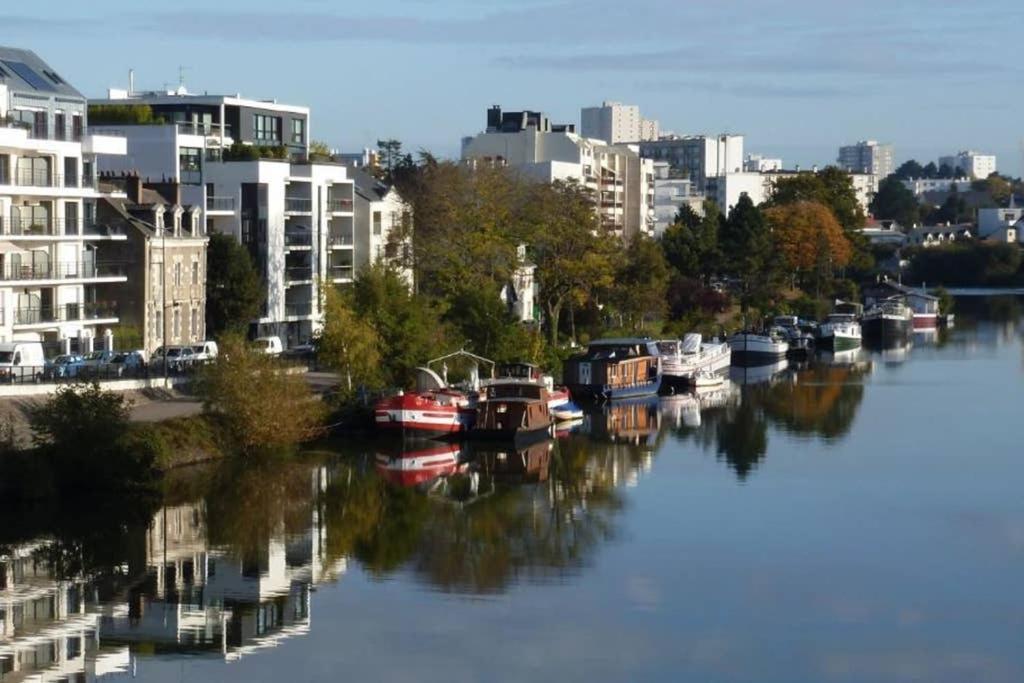 Lulu, Le Studio Du Chateau Apartment Nantes Bagian luar foto